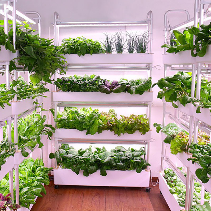 Hydroponic Tower Planter - نظام زراعة الزراعة المائية عمودي ذكي
