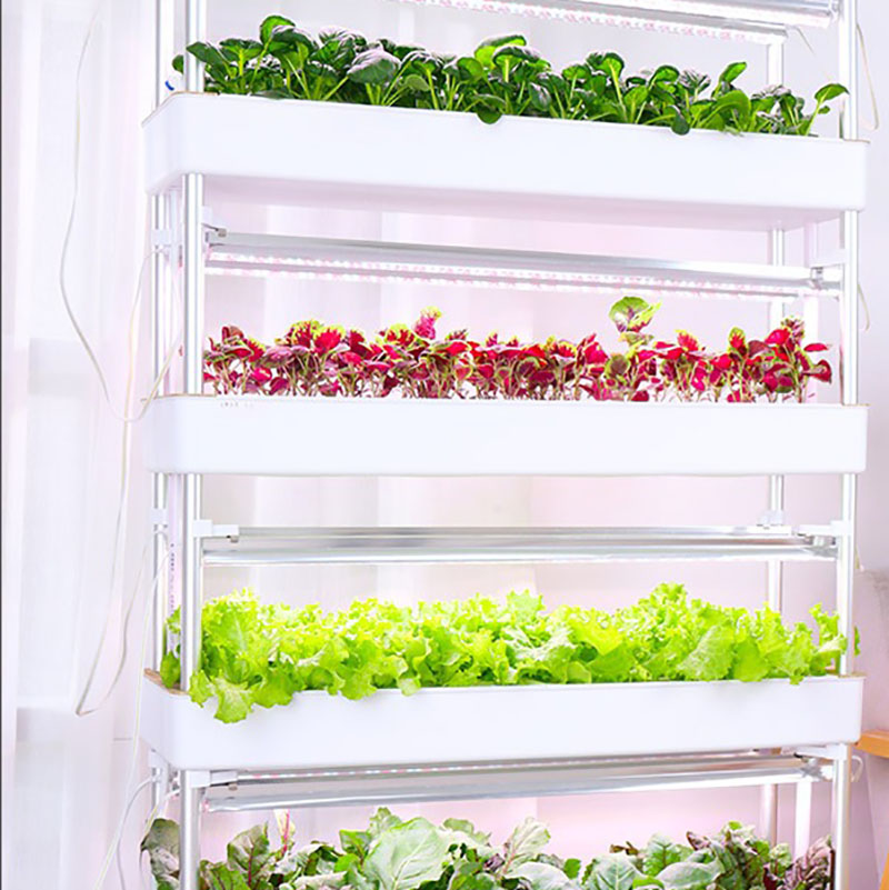 نظام زراعة الزراعة المائية عمو - مراجعة Hydroponic Tower Planter وسعره
