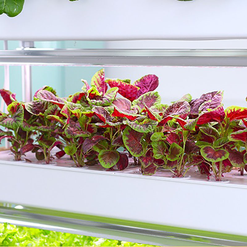 نظام زراعة الزراعة المائية عمو - مراجعة Hydroponic Tower Planter وسعره