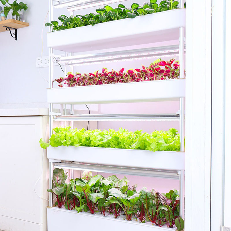 نظام زراعة الزراعة المائية عمو - مراجعة Hydroponic Tower Planter وسعره