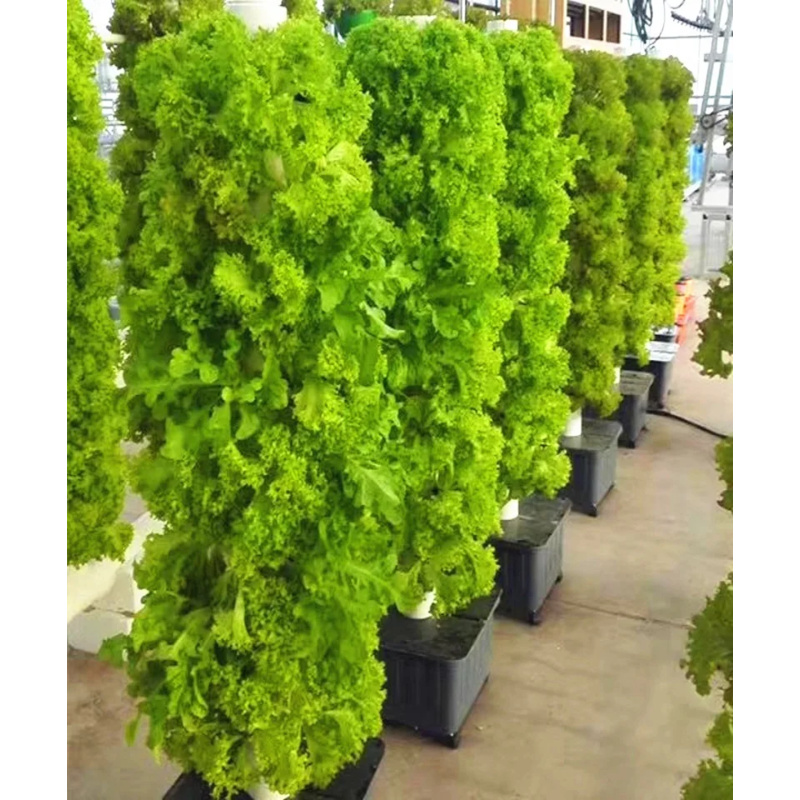 حديقة المنزل برج الزراعة المائ - مراجعة Hydroponic Tower Planter وسعره